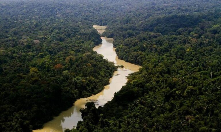 Plataforma amplia acesso ao programa Floresta+ Amazônia para povos e comunidades tradicionais