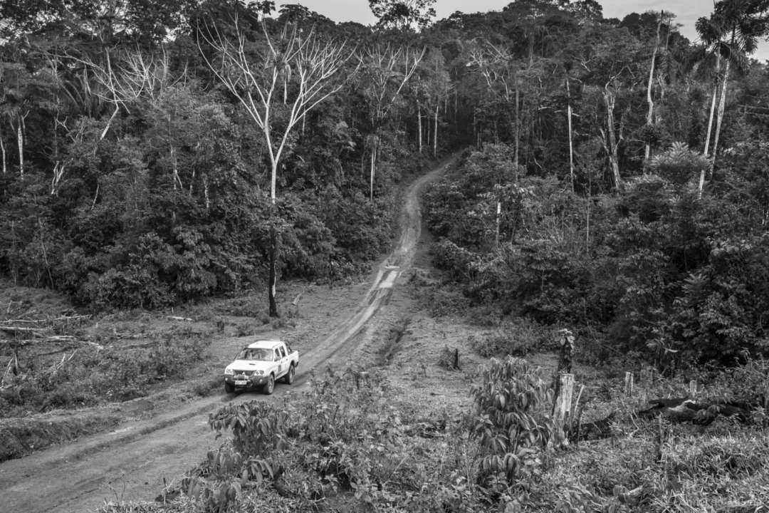 De encantarias da floresta a vocábulos próprios, cultura seringueira sofre apagamento e dificuldade de preservação