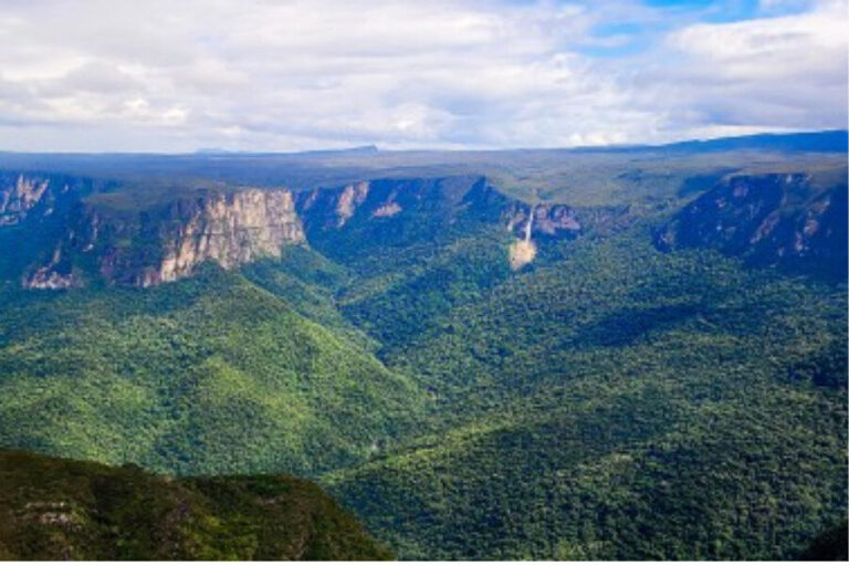 Expedição inédita vai mapear a biodiversidade do topo da Serra do Aracá, no norte do Amazonas