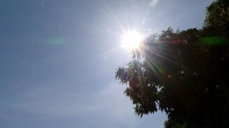 Especialistas explicam porque ilhas de calor deixam bairros de Manaus mais quentes no verão amazônico