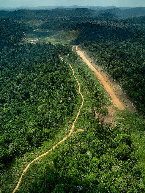 Terra indígena Ituna-Itatá