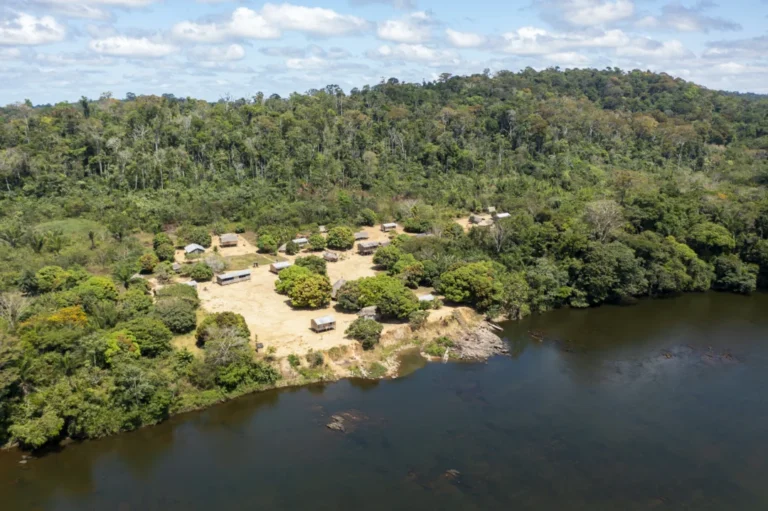 Imazon e UFOPA firmam parceria para monitorar biodiversidade em unidades de conservação do Pará