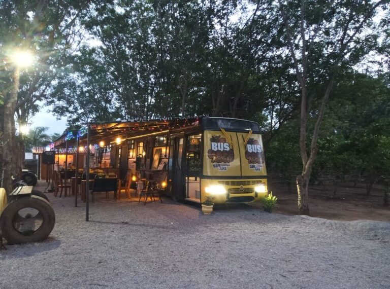 Ônibus-cafeteria: atração rondoniense serve grão cultivado no local com vista para a plantação