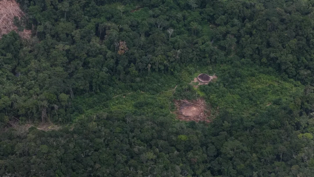 Amazonas reduz desmatamento em 31%, mas continua entre os três estados que mais devastam a Amazônia