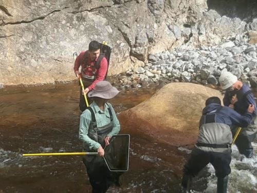 Cientistas percorrem rios em Cajamarca e Amazonas para estudar a diversidade de peixes no Peru