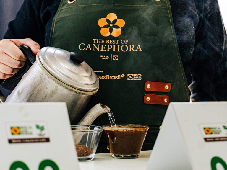 Cafés amazônicos lideram lista de finalistas em competição nacional