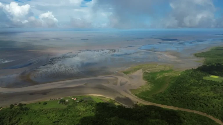 Amazônia costeira: Atlântico avança sobre a costa e muda a vida na foz do Amazonas