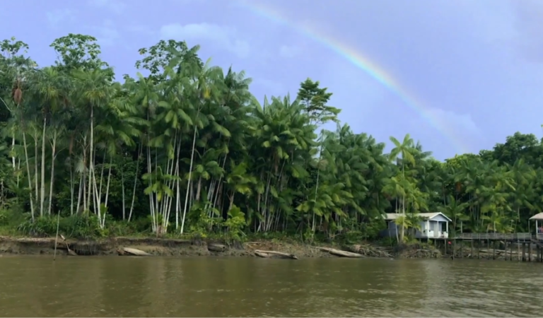 A Amazônia é sua gente!