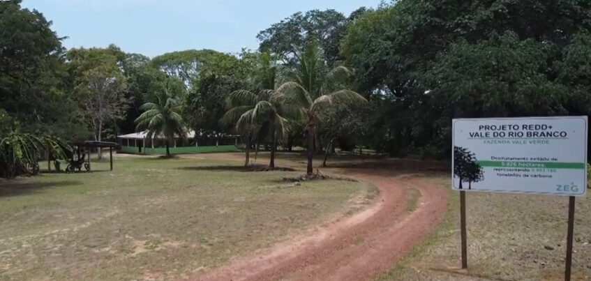 Projeto de créditos de carbono protege animais e evita desmatamento na Amazônia - ZEG