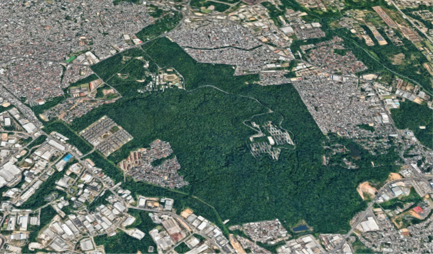 fragmento de floresta amazônica na ufam em manaus