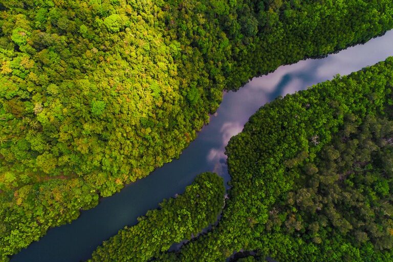 Decretos criam quatro reservas de desenvolvimento sustentável no Amazonas 