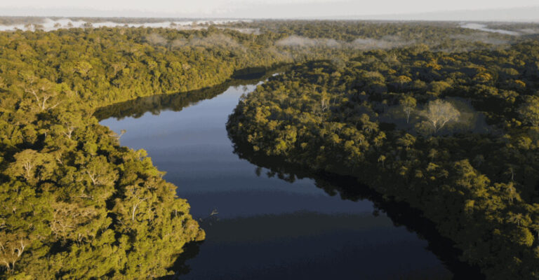 Rede Bioamazonia: oito instituições firmam cooperação para ampliar pesquisa colaborativa