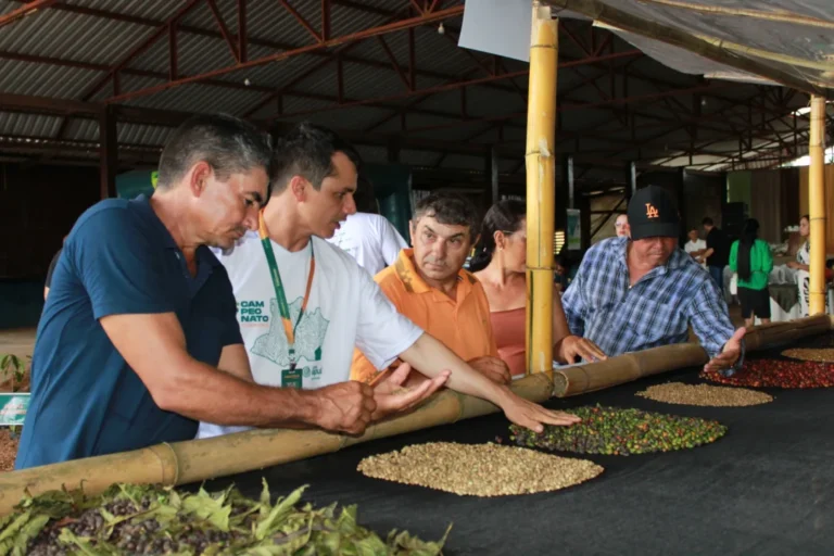 Exposição mostra jornada do café “do grão até a xícara” em Apuí 