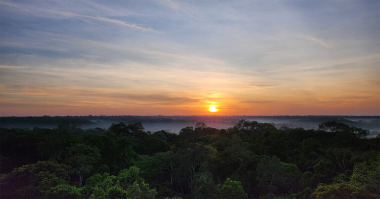 Atriz Christiane Torloni apresenta documentário sobre Amazônia e mudanças climáticas na USP