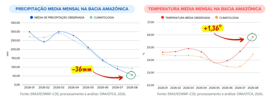 Região amazônica registra menos chuva e forte aumento dos focos de calor em agosto