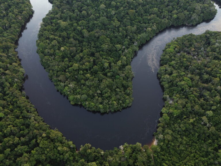 Fundo Amazônia: R$ 50,5 milhões são destinados para gestão territorial e ambiental quilombola na Amazônia Legal