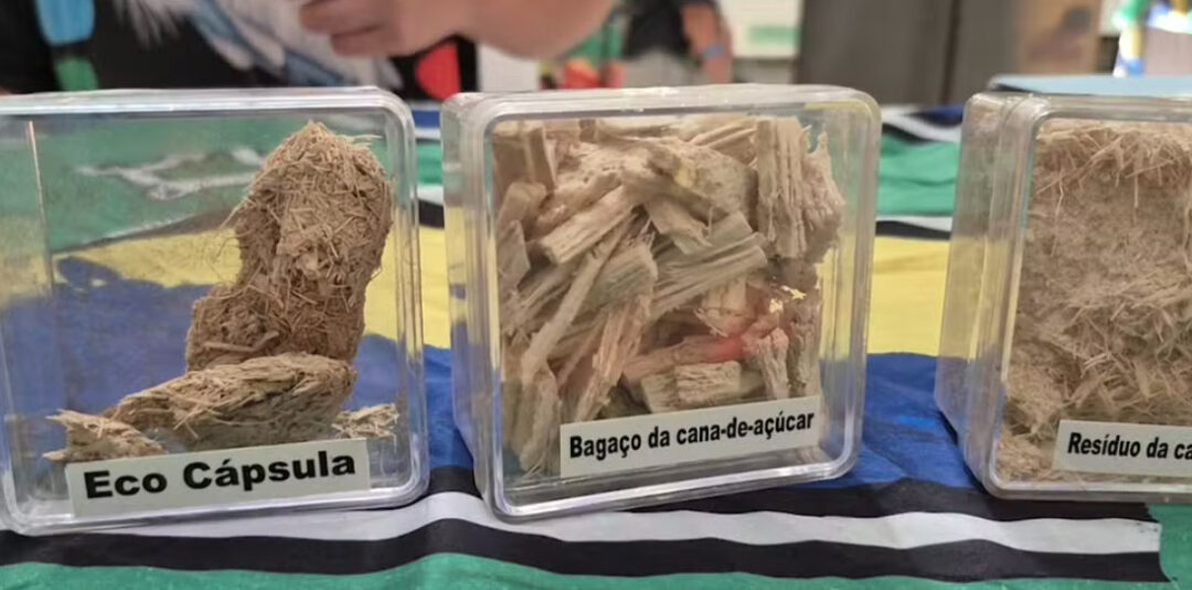 Cápsula ecológica com resíduos de cana de açúcar — Foto: Rede Amazônica