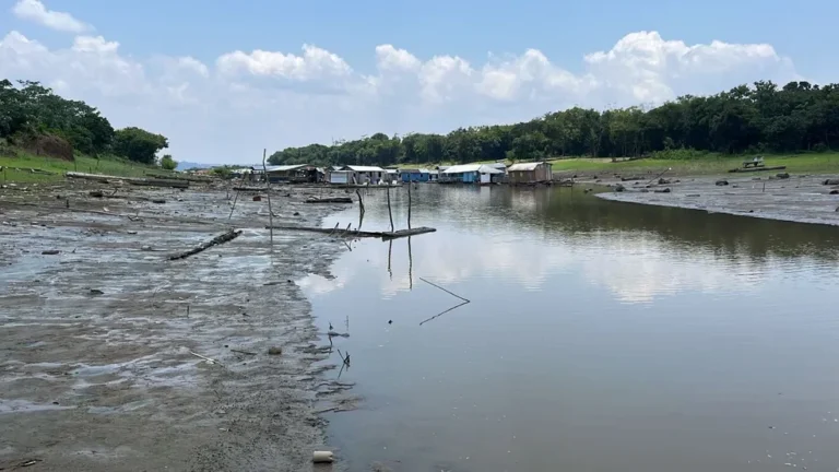 Mais de duas mil localidades da Amazônia estiveram altamente expostas à seca durante o El Niño em 2024