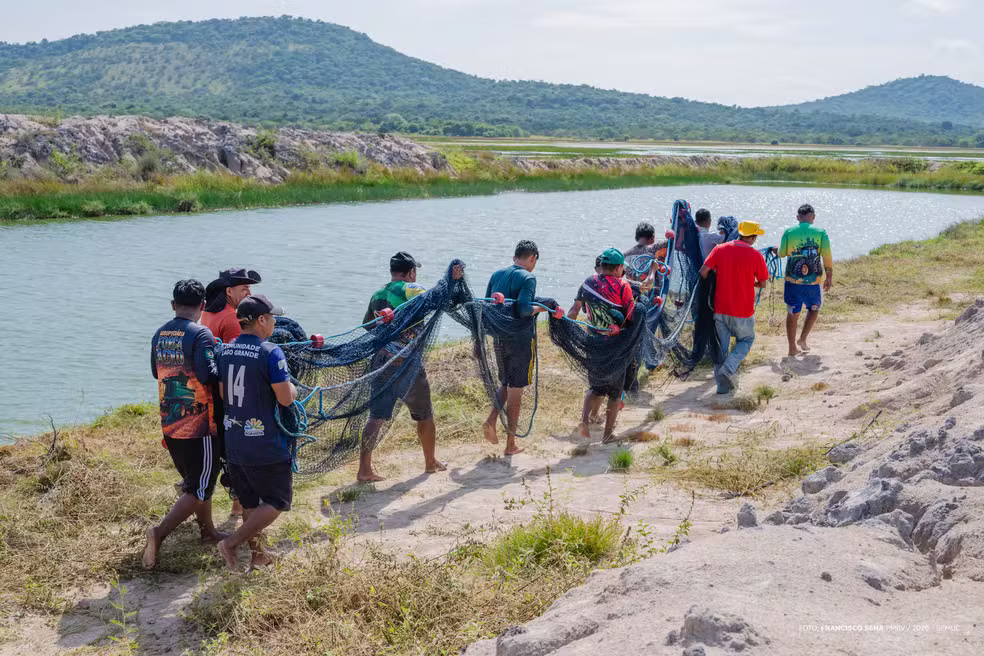 despesca tambaqui boa vista foto francisco sena pmbv