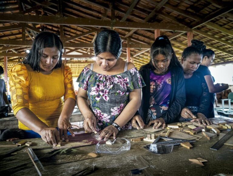 Energia solar fortalece geração de renda em aldeias indígenas na Amazônia