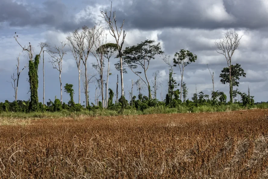 Por que o El Niño provoca seca na região Norte e chuvas na região Sul?