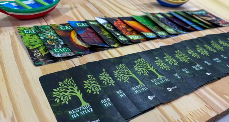 Jogo da memória reúne informações sobre oito árvores amazônicas