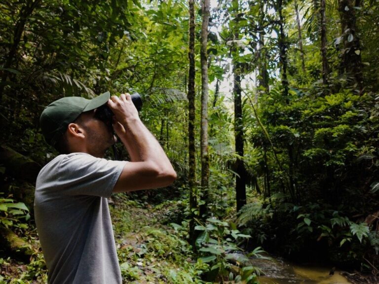 Acreano transforma curiosidade e paixão por aves em trabalho na Amazônia