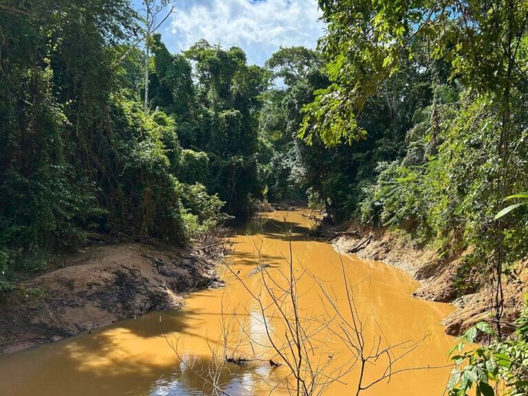 Áreas de risco são mapeadas em Rio Brando e programa busca retirar 30 toneladas de lixo por dia de igarapés
