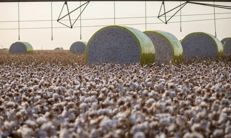 Produção agrícola em Mato Grosso