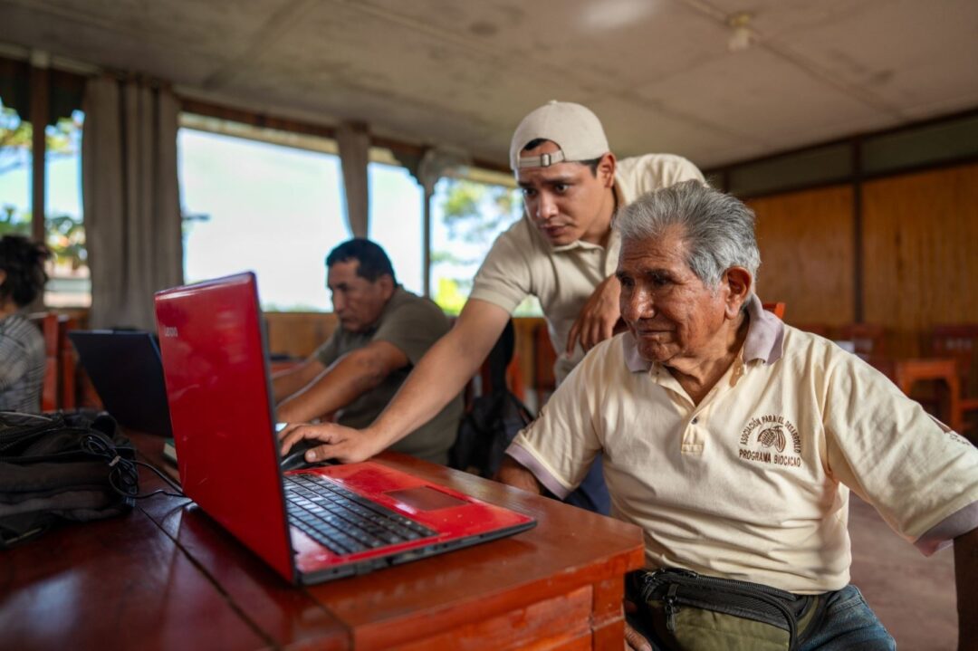Café, óleo de palma e cacau: produtores amazônicos aplicam práticas livres de desmatamento