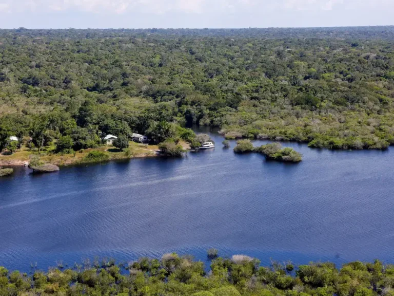 Decretos criam quatro reservas de desenvolvimento sustentável no Amazonas