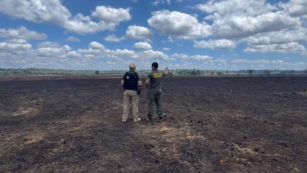 Queimadas em Pracuúba alteram paisagem às margens de rodovia no AP; 18 pontos foram mapeados