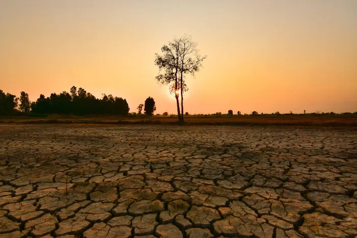 Portal Amazônia responde: por que o El Niño provoca seca na região Norte e chuvas na região Sul?