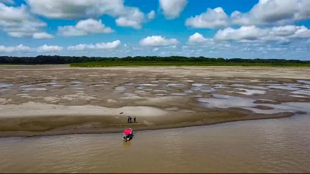 Mais de 2 mil localidades da Amazônia estiveram altamente expostas à seca durante o El Niño em 2024