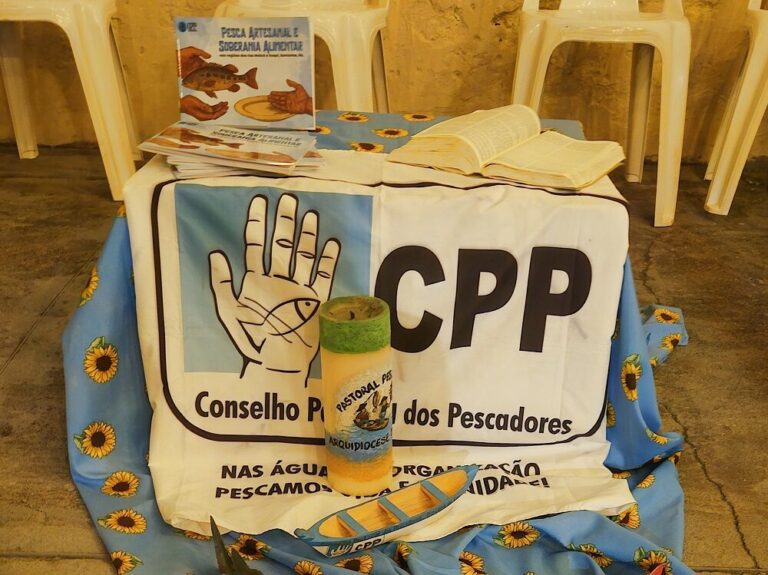 Escassez de peixes e ameaças aos territórios preocupam comunidades pesqueiras do Maicá e Ituqui, no Pará