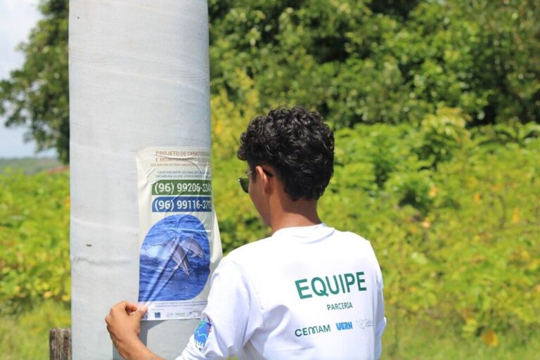 Após nova descoberta de petróleo na costa do Amapá, pesquisadores ampliam monitoramento de animais marinhos