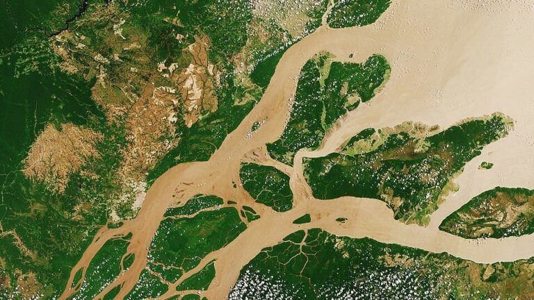 Artigo aponta que pluma do rio Amazonas altera química do Oceano Atlântico e favorece absorção de CO₂