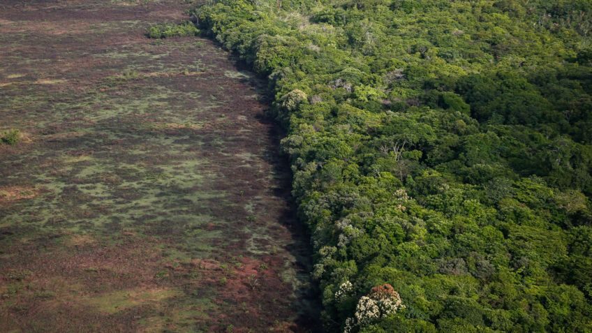 Extremos climáticos avançam mesmo em áreas conservadas da Amazônia