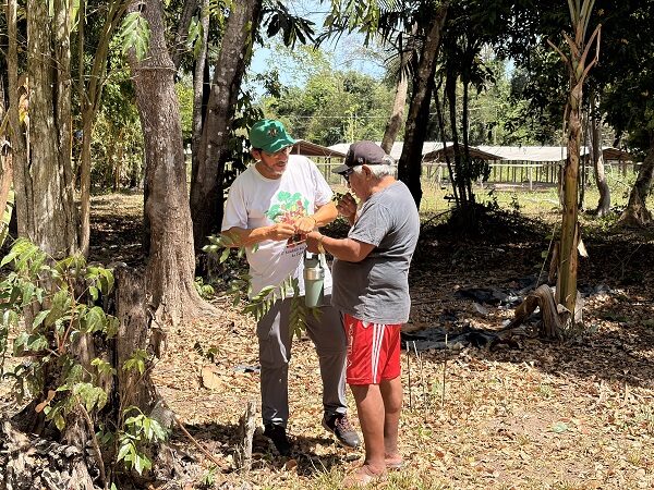 Projeto tem como objetivo a restauração de 200 hectares de florestas no sudeste do Pará