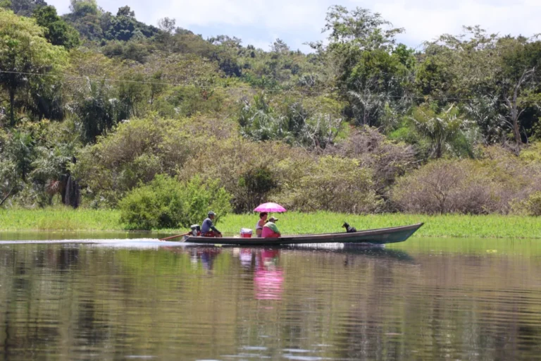 Idesam e APIAM ampliam acesso de territórios tradicionais à plataforma do MPF 