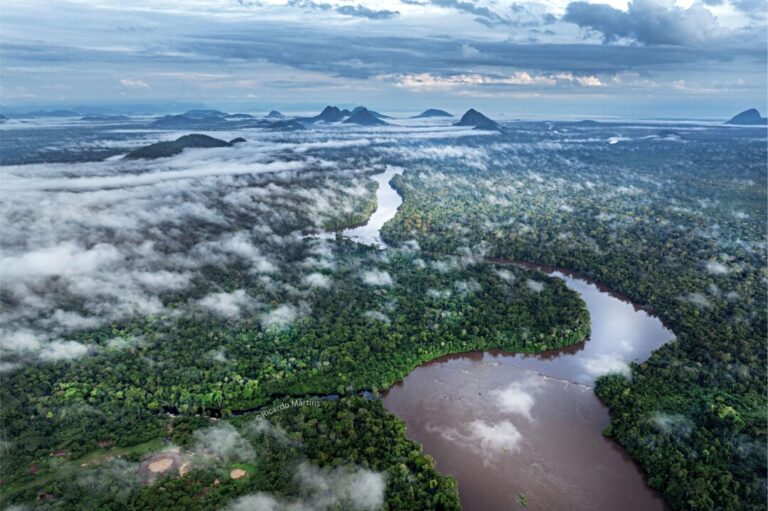 Negócios de bioeconomia na Amazônia crescem mais de cinco vezes em oito anos, aponta estudo da CERTI