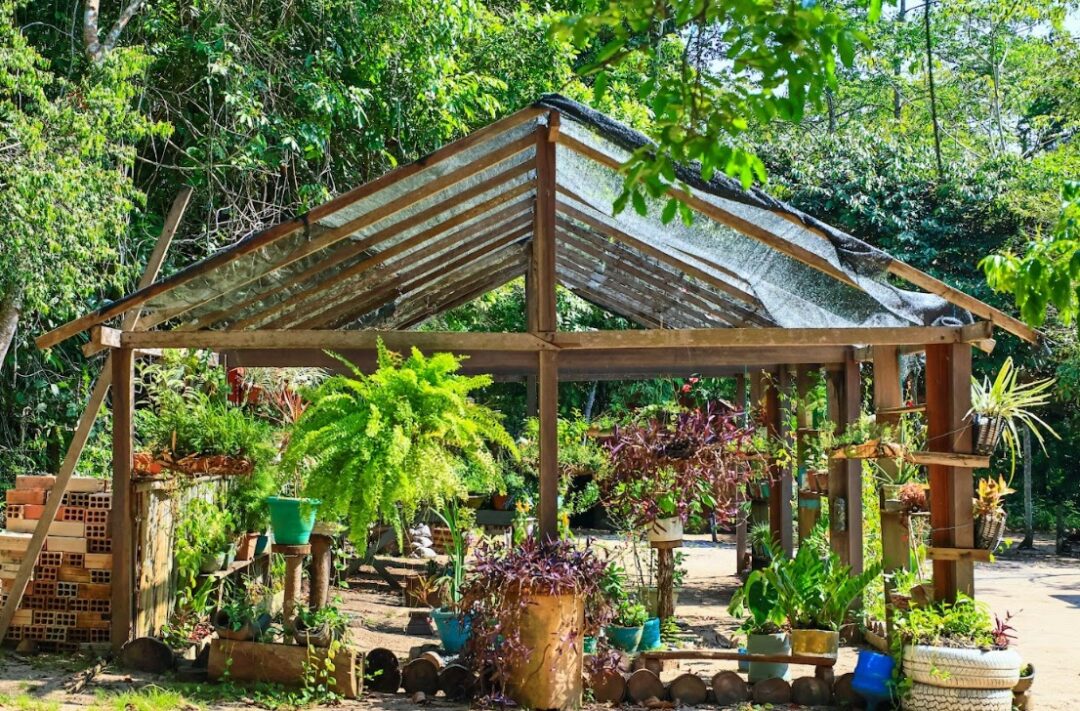 Experiência de educação ambiental de Santarém com a Escola da Floresta é apresentada na Alemanha
