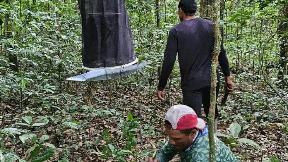 Moradores e biólogos mapeiam animais no Amapá para proteção de unidade de conservação
