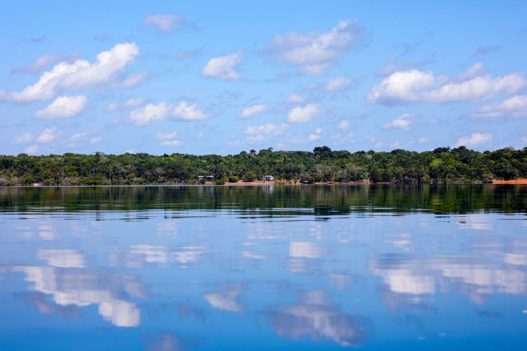 BNDES aprova R$ 250 milhões do Fundo Clima para Belterra recuperar 4 mil hectares na Amazônia. Foto: Fabio Rodrigues-Pozzebom/Agência Brasil