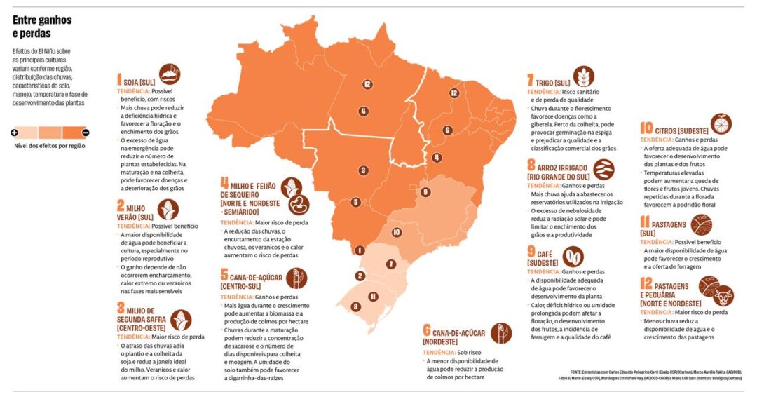 Mapa dos efeitos do El Niño na agricultura brasileira é redesenhado por especialistas