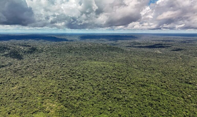 Amazônia registra menor nível de desmatamento em 41 anos, segundo dados do MapBiomas