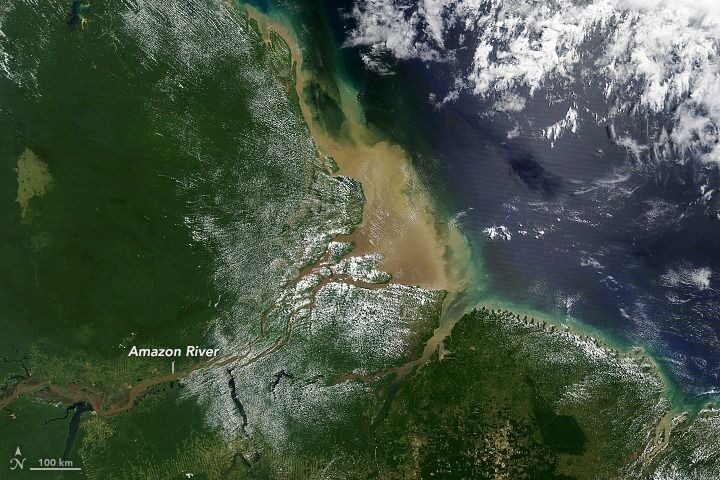 Estudo analisou a pluma do Rio Amazonas através de dados captados entre 1991 e 2019