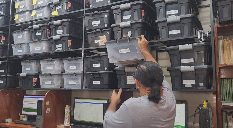 Memória da flora: herbário reúne mais de 10 mil plantas em universidade no Amapá