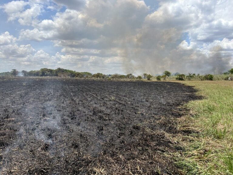 Roraima registra mais de 2 mil focos de calor até outubro de 2026; número supera total de 2025