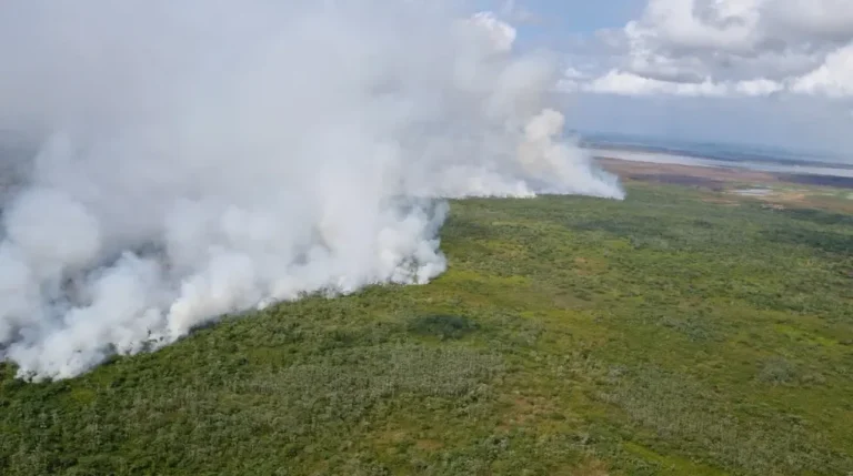 Ibama registra 124 acionamentos por incêndios no Amapá e alerta para extensão da seca pelo El Niño